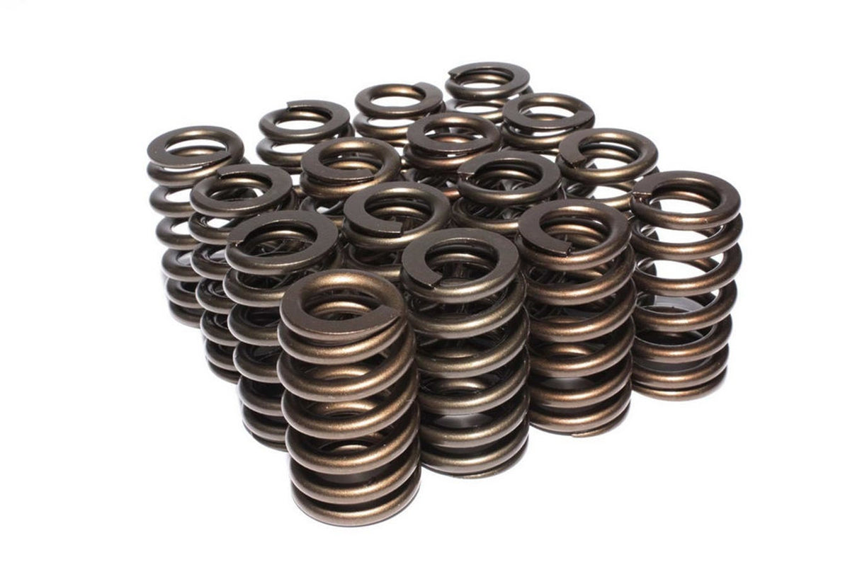 Valve Springs - 2698116