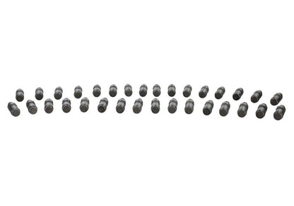 Ford Performance Parts 5.0L Coyote Lash Adjuster Assembly Kit