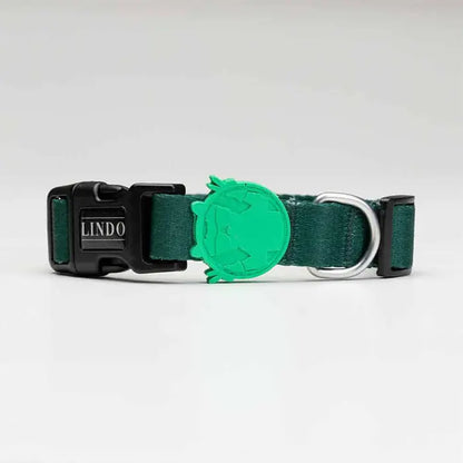 Lindo Brazil Dog Collar Stylish Daily Design Small 30-44cm