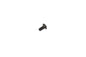BOLT C6 CAM RETAINER W/BAL SH
