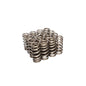 Comp Cams Beehive Valve Springs for H/L Ford 2V