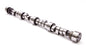 Camshaft Hydraulic Roller - 1161644