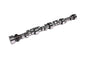 Camshaft Mech Roller Big Block - 117179