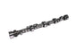 Camshaft - 128019
