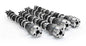Camshafts Hydraulic Roller Tppt Ford - 191100