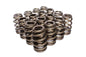 Beehive Valve Spring Set 16 - 2605516