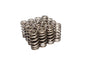 Valve Springs - 2611316