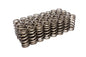 Valve Springs - 2612332