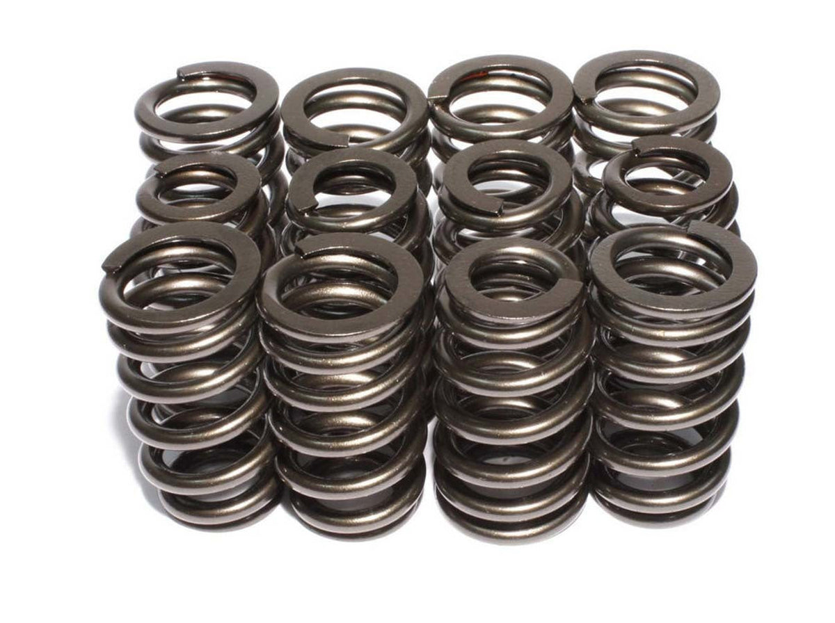 Valve Springs - 2691512