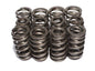 Valve Springs - 2691512