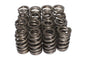 Valve Springs Single 1.055 Od - 2691516