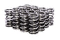 Valve Springs - 2692516