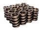 Valve Springs Dual 437 Lb/In - 2692916