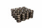 Dual Spring Set with/Damper .760 - 2695316