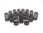 Beehive Springs SBF - 2698616