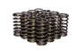 Valve Springs - 97316