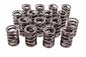 RPM Valve Springs - 5767