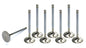 8 Exhaust Valves 1.88 - 9776