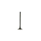 Exhaust Valve