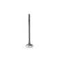 Exhaust Valve