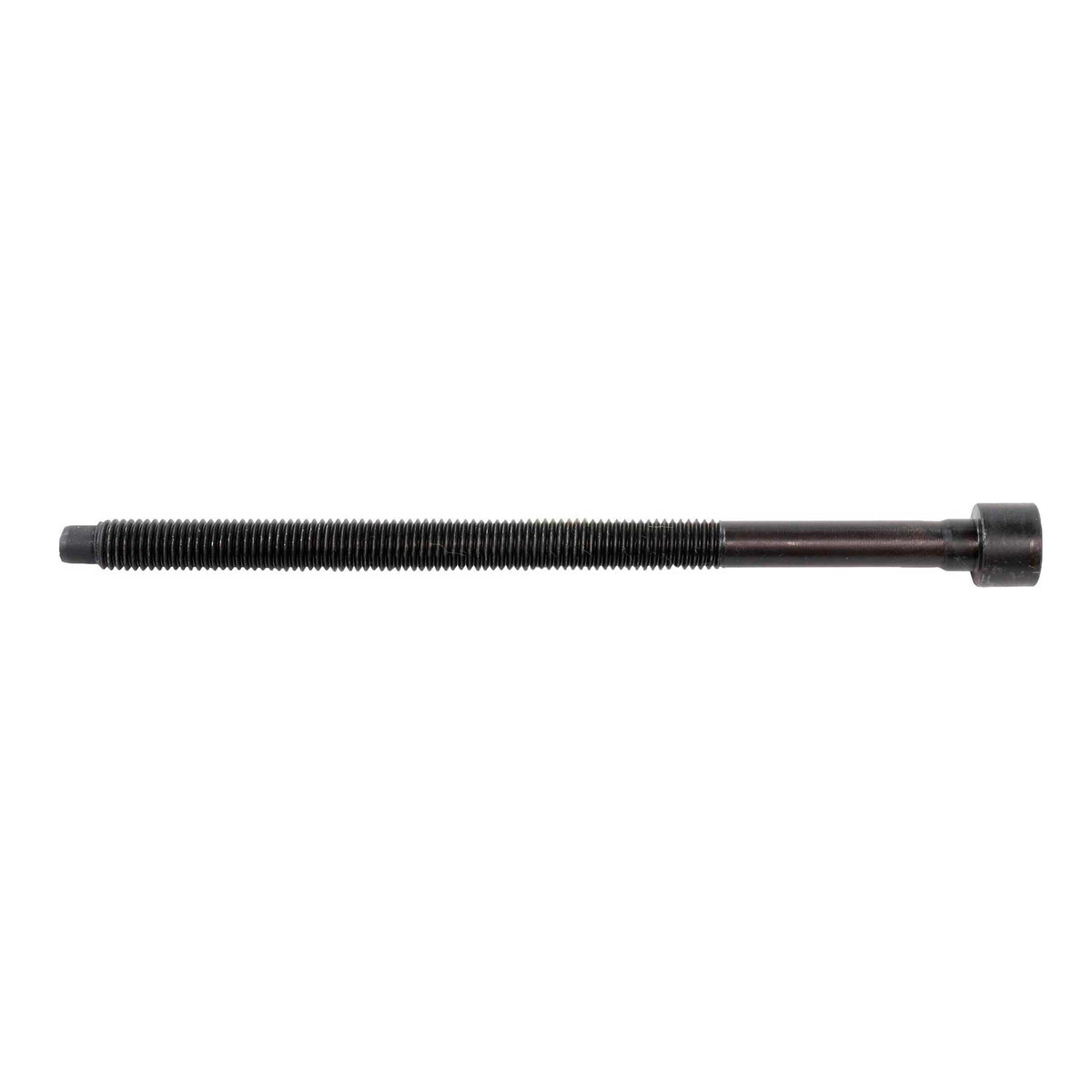 2010 Audi S5 3.0L Cylinder Head Bolt