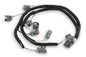Injector Harness - 558212