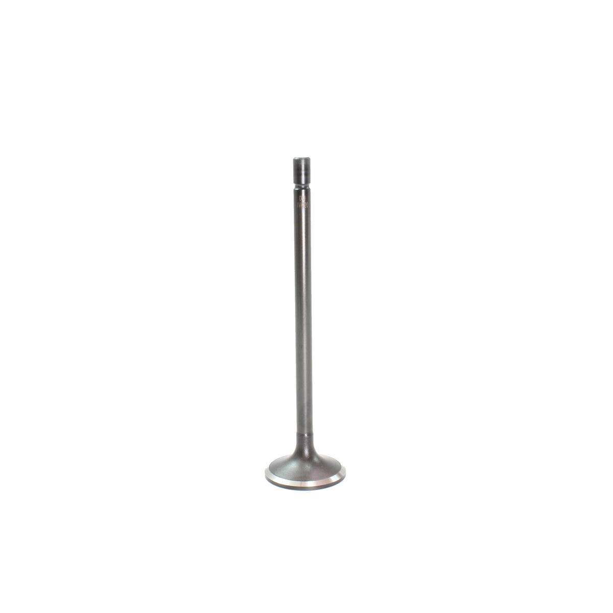 Intake Valve 2008-2010 Ford 6.4L