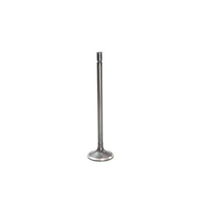 Intake Valve 2008-2010 Ford 6.4L