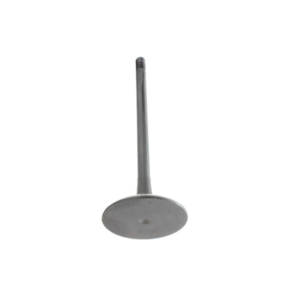 Intake Valve