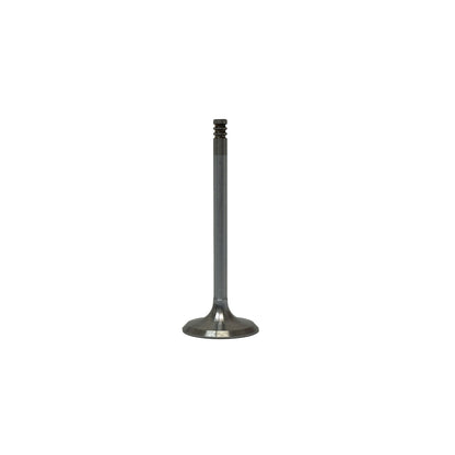 Intake Valve 2001-2009 Audi,Volkswagen 2.8L-6.0L