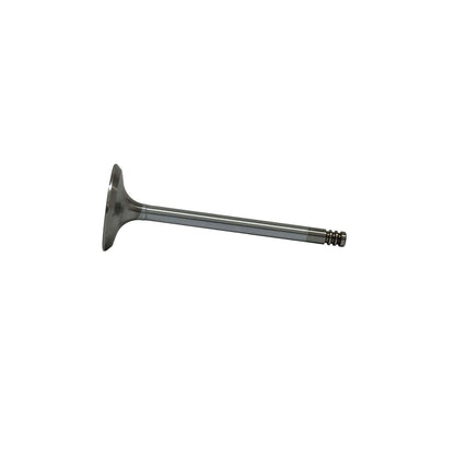 Intake Valve 2001-2009 Audi,Volkswagen 2.8L-6.0L