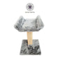 Botar Relax Cat Scratcher and Bed for Rest and Play