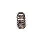 Comp Cams PERFORMANCE GM LS1 VALVE SPRING