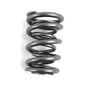COMP Cams Valve Springs - 724516