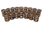 COMP Cams Valve Springs - 99816