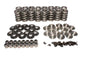 Comp Cams Kit, Dual Valve Spring, Ti, Ls Type