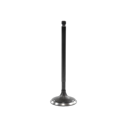 Intake Valve 2006-2012 Mitsubishi 3.8L