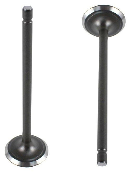 Intake Valve 2012-2015 Scion 1.3L