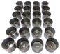 Valve Lifter Kit 1988-2010 Lexus,Toyota 2.5L-3.4L