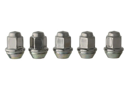 Ford Performance Parts Lug Nuts