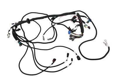 FAST XFI Main Wiring Harnesses - 301104