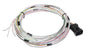 Holley J1A/B Dominator Auxiliary Wiring Harnesses - 558400