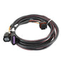 Holley EFI Systems Wiring Harnesses - 558406