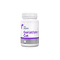 Vet Expert GeriatiVet Cat Senior Vitamin Support 60 Capsules