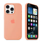 iPhone Silicone Case (Begonia)