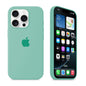 iPhone Silicone Case (Spearmint Green)