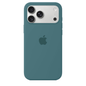 iPhone Silicone Case (Pine Green)
