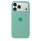 iPhone Silicone Case (Spearmint Green)