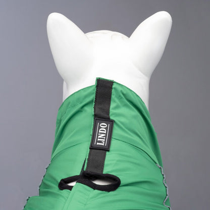 Lindo Dogs Quattro Nebula Dog Raincoat - Rain & Wind Protection, Size 5