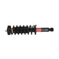 Monroe Quick-Struts - 171113